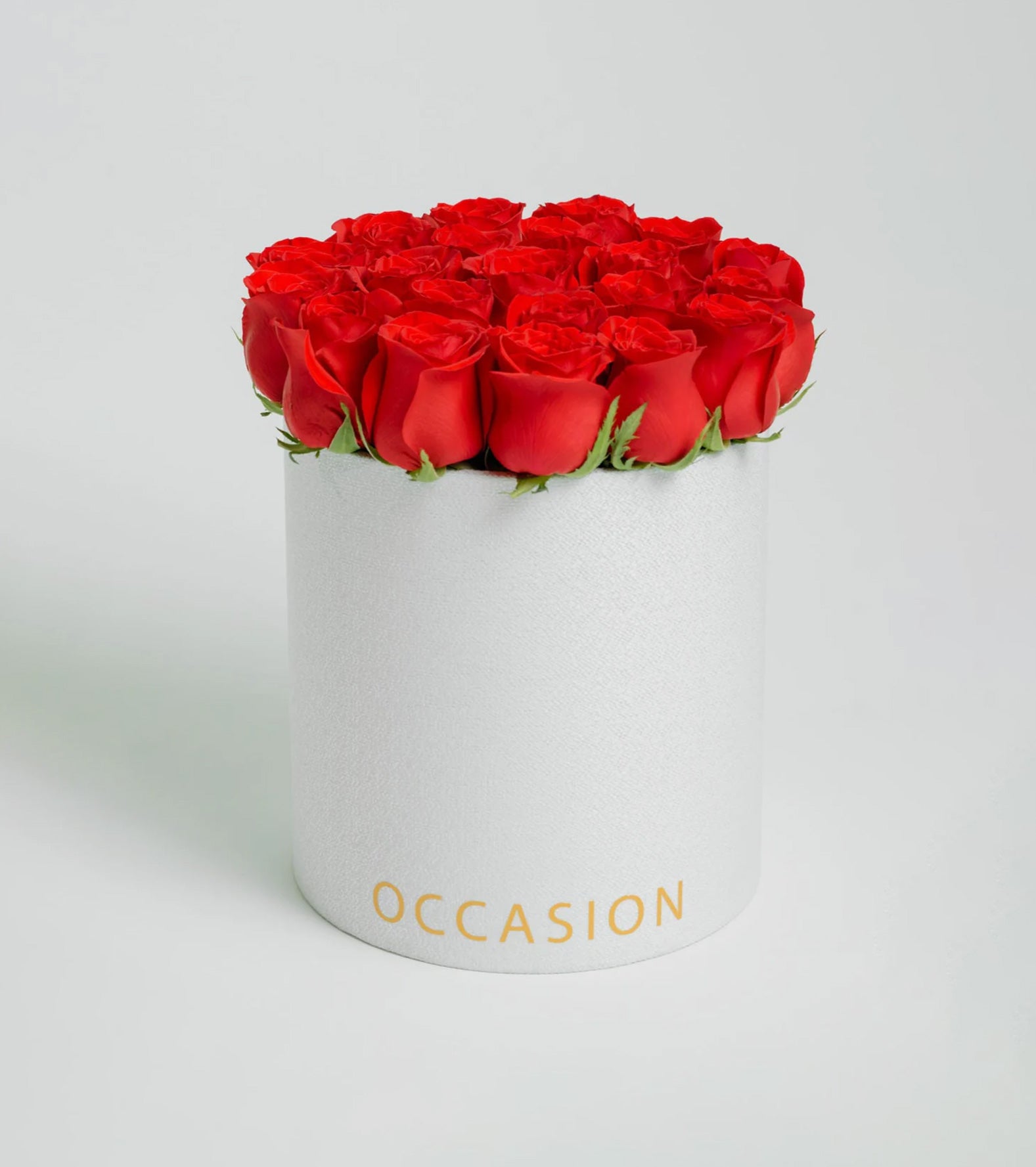 Cilindro Rouge roses